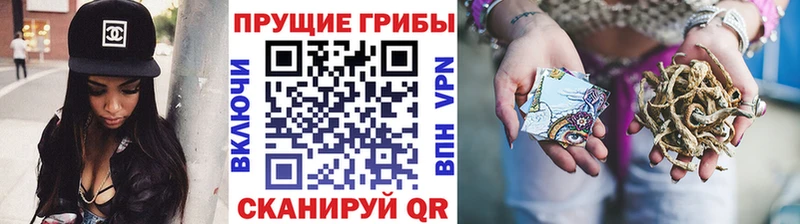 Галлюциногенные грибы Magic Shrooms  Купить закладки  Грайворон 