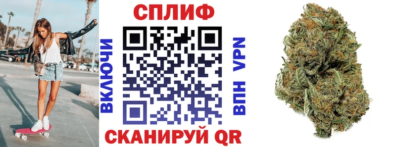 Купить где  Грайворон  Конопля ГИДРОПОН 